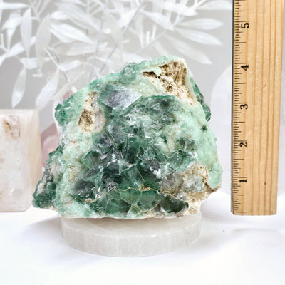 Cubic Fluorite Crystals on Matrix - Rare Find next to ruler for size reference