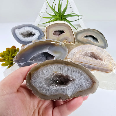 Agate Geode Half - Large Natural Crystal Geode - You Choose #2 variant 2 in hand with other variants in background on stone platter with props and plants