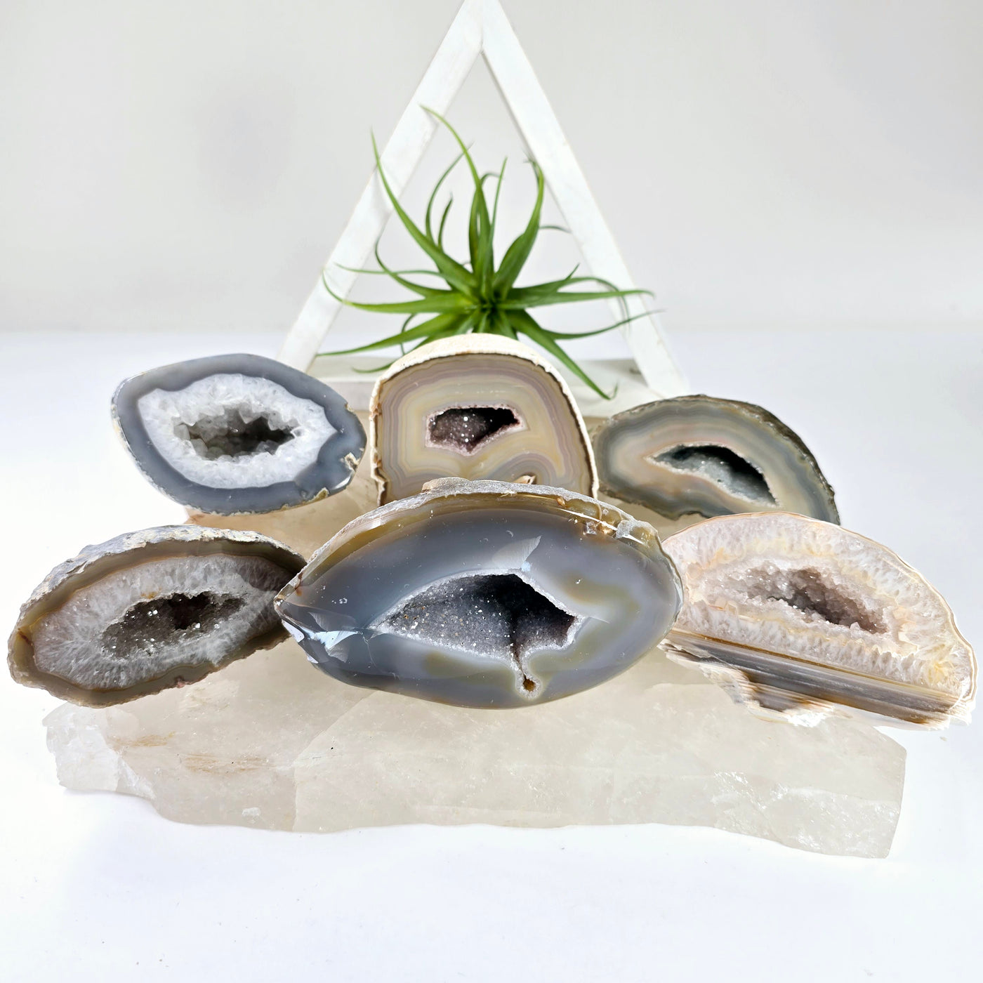 Agate Geode Half - Large Natural Crystal Geode - You Choose #2 - all variants on stone platters with props and plants in the background