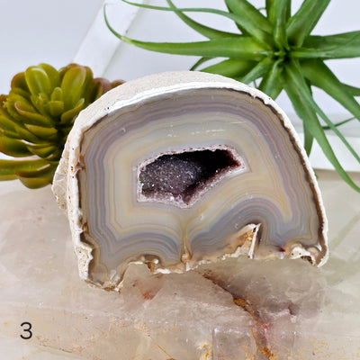 Agate Geode Half - Large Natural Crystal Geode - You Choose #2 variant 3 labeled