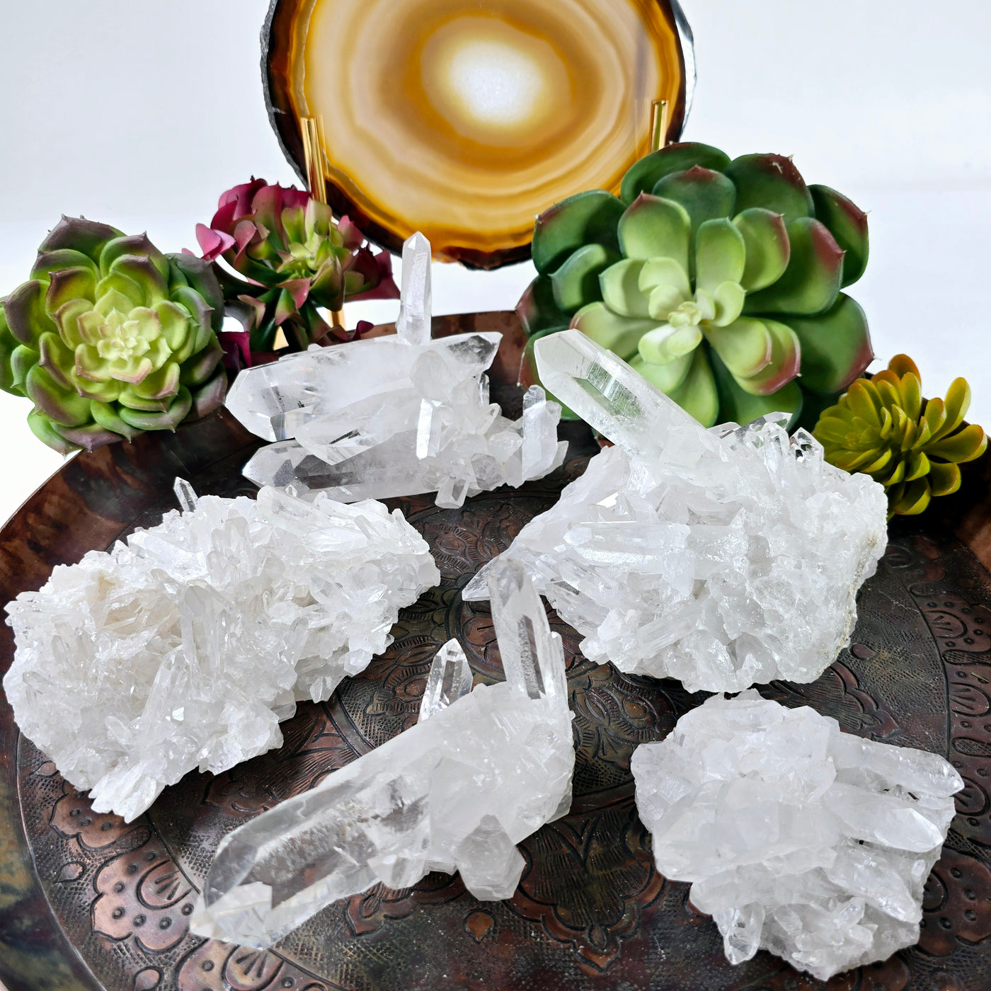 Crystal Quartz Cluster - AA Grade - You Choose from Brazil Top Quality all variants on metal platter with props and plants in the background