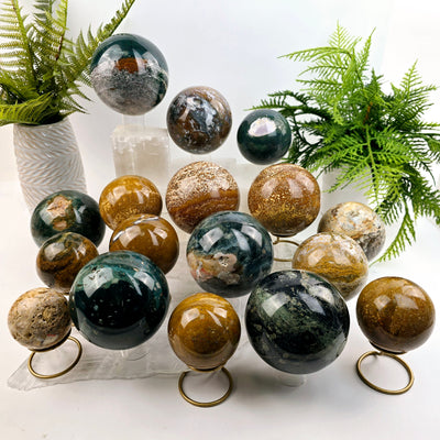 Ocean Jasper Polished Crystal Sphere YOU CHOOSE #2 all variants together on selenite platters and platforms with props and plants in the background