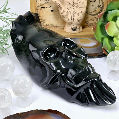 Rainbow Obsidian Large Skull Carving - One-of-a-Kind  3/4 angle with spheres, props and plants in the background