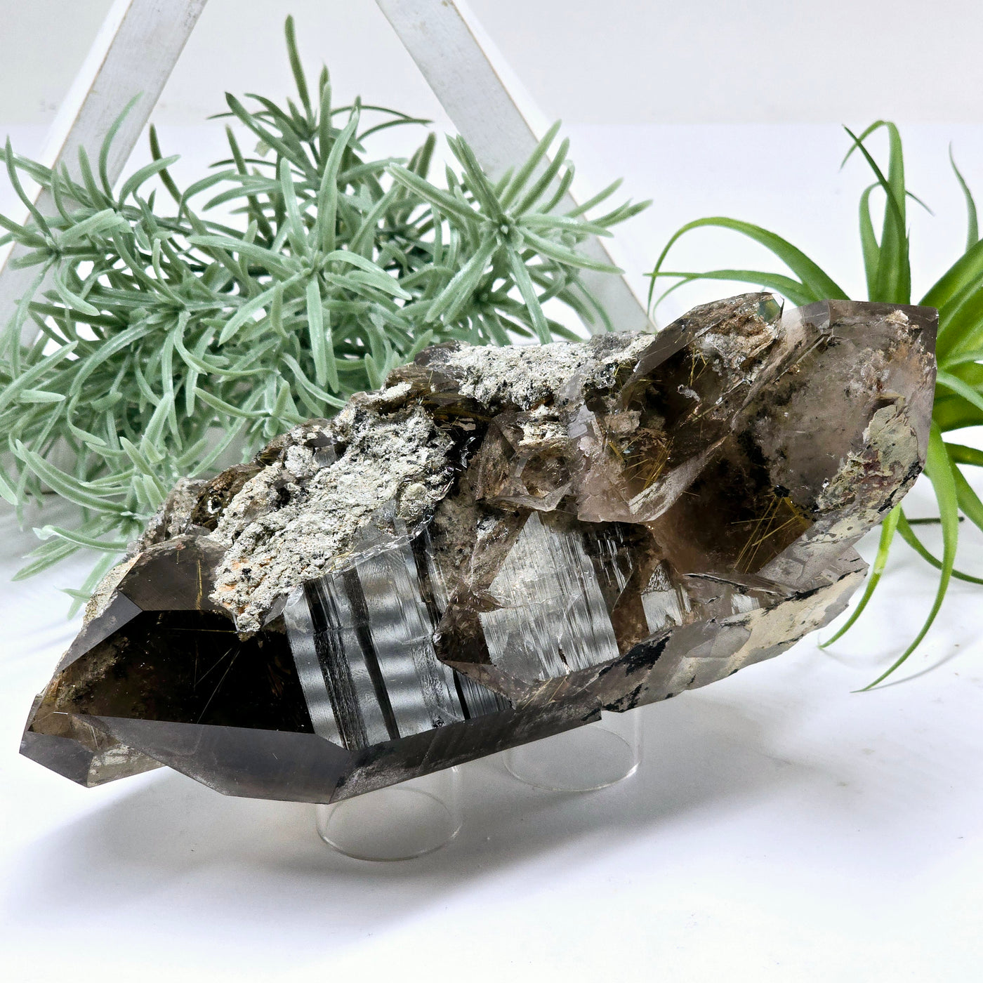 Rutilated Smokey Quartz - Large Crystal Cluster - One-of-a-Kind front view with props and plants in the background