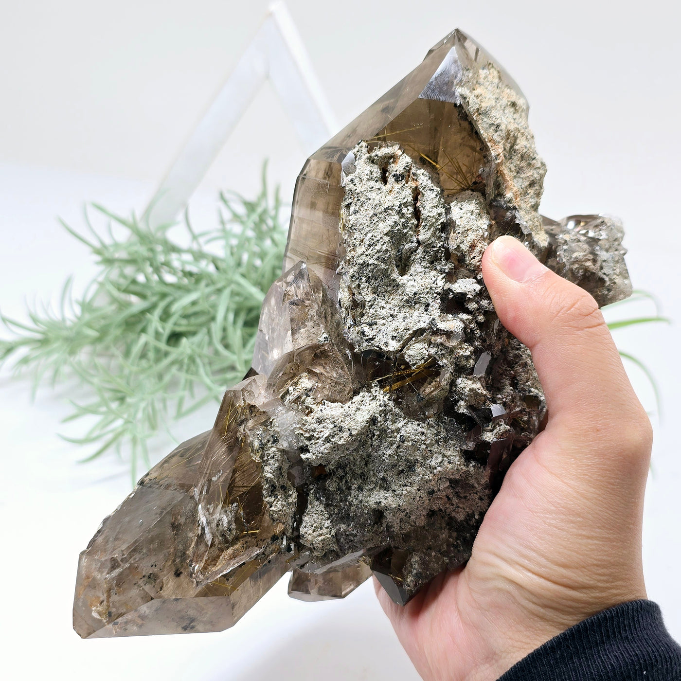 Rutilated Smokey Quartz - Large Crystal Cluster - One-of-a-Kind in hand for size reference with props and plants in the background