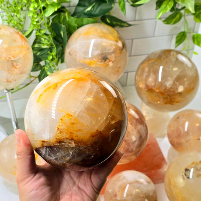 Golden Healer Large Polished Crystal Sphere - You Choose one in hand for size reference with others in background with props and plants