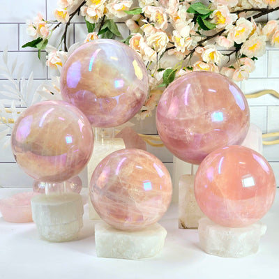 Angel Aura Rose Quartz Large Crystal Sphere - You Choose all variants on various sphere stands with props and plants in the background