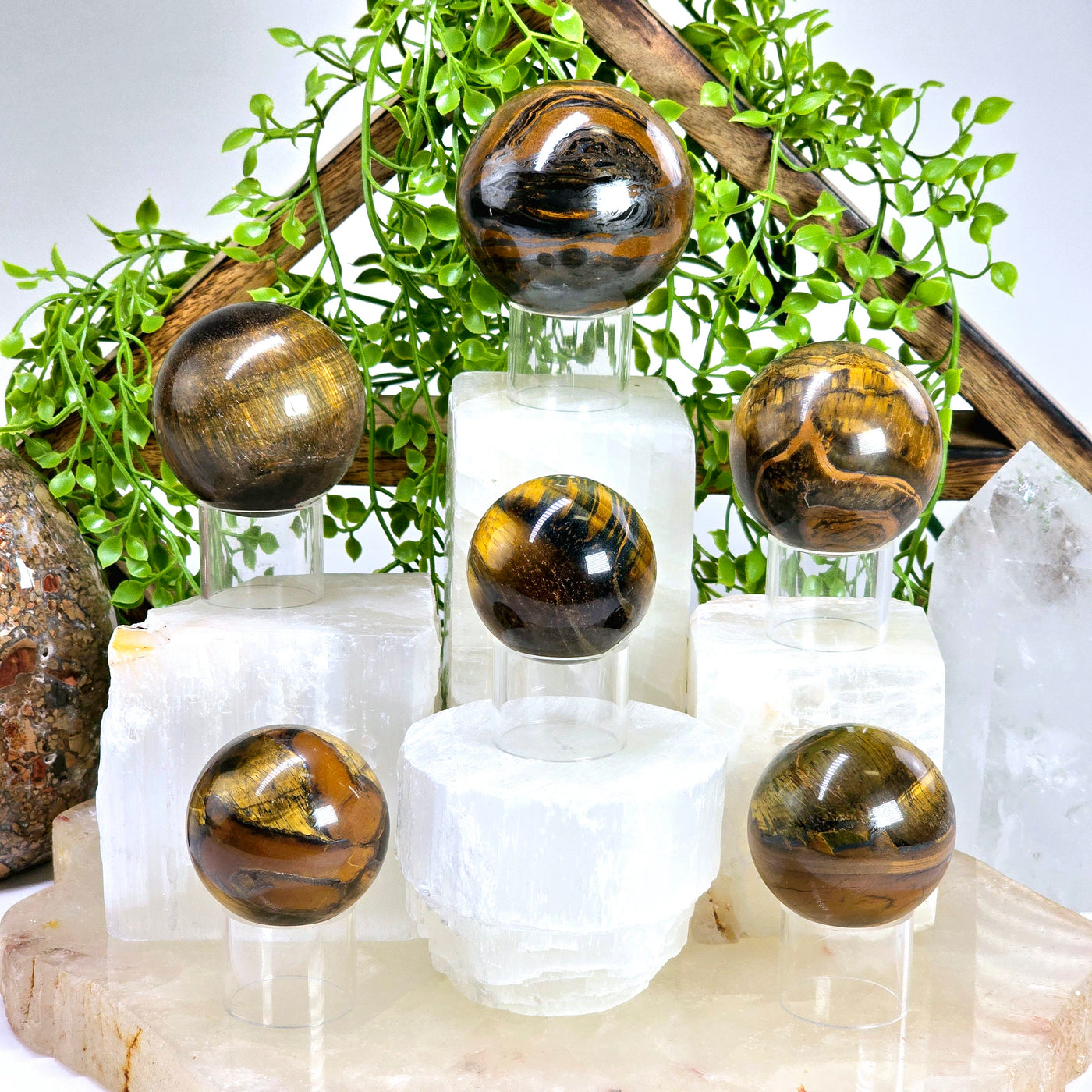 Tigers Eye Polished Crystal Sphere - You Choose all variants on acrylic sphere stands on different white crystal platforms and stone platter with props and plants in the background