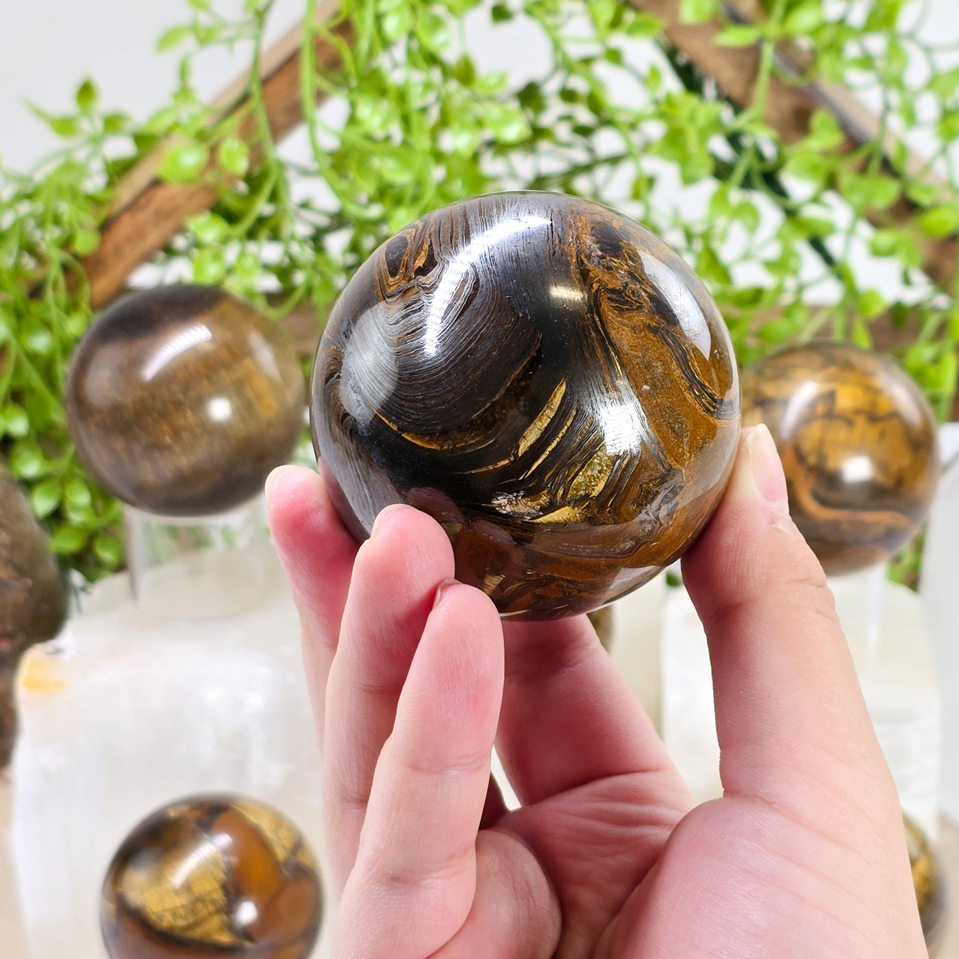 Tigers Eye Polished Crystal Sphere - You Choose - variant 6 in hand for size reference with other variants in the background with props and plants