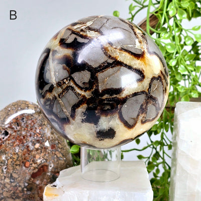 Septarian Polished Crystal Sphere - You Choose variant B labeled