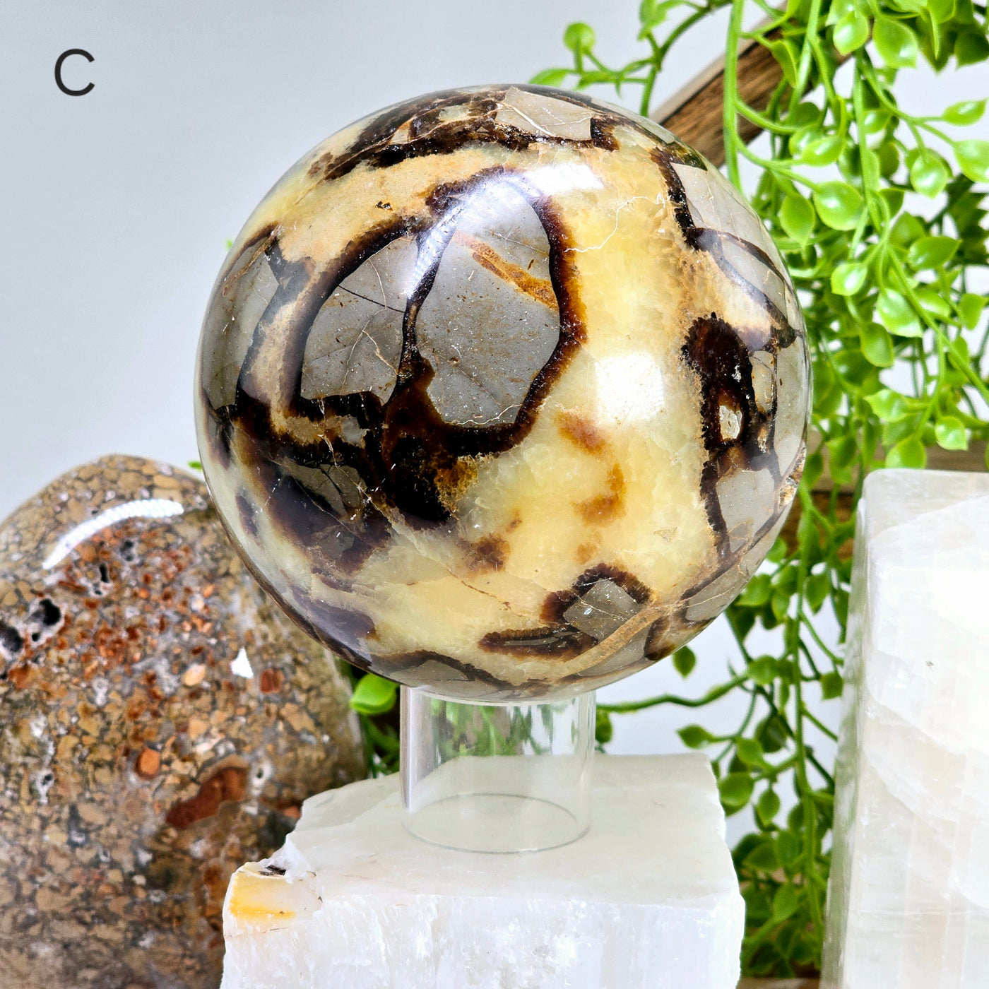 Septarian Polished Crystal Sphere - You Choose variant C labeled