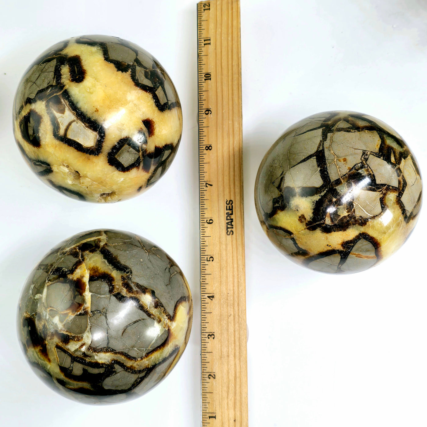 Septarian Polished Crystal Sphere - You Choose all variants with ruler for size reference