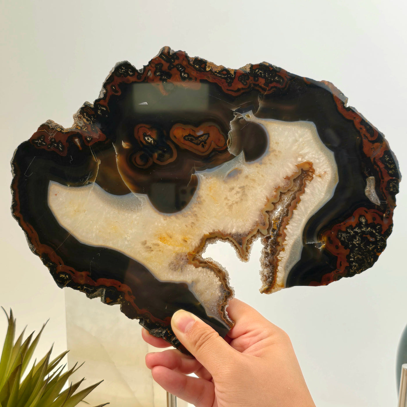 Agate Crystal Slice - Spooky Face Agate Slice - Halloween Decor - One-of-a-Kind in hand for size reference