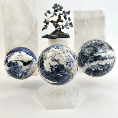 Sodalite Crystal Sphere - You Choose all variants on sphere stands with sodalite tree and crystal pillars in background