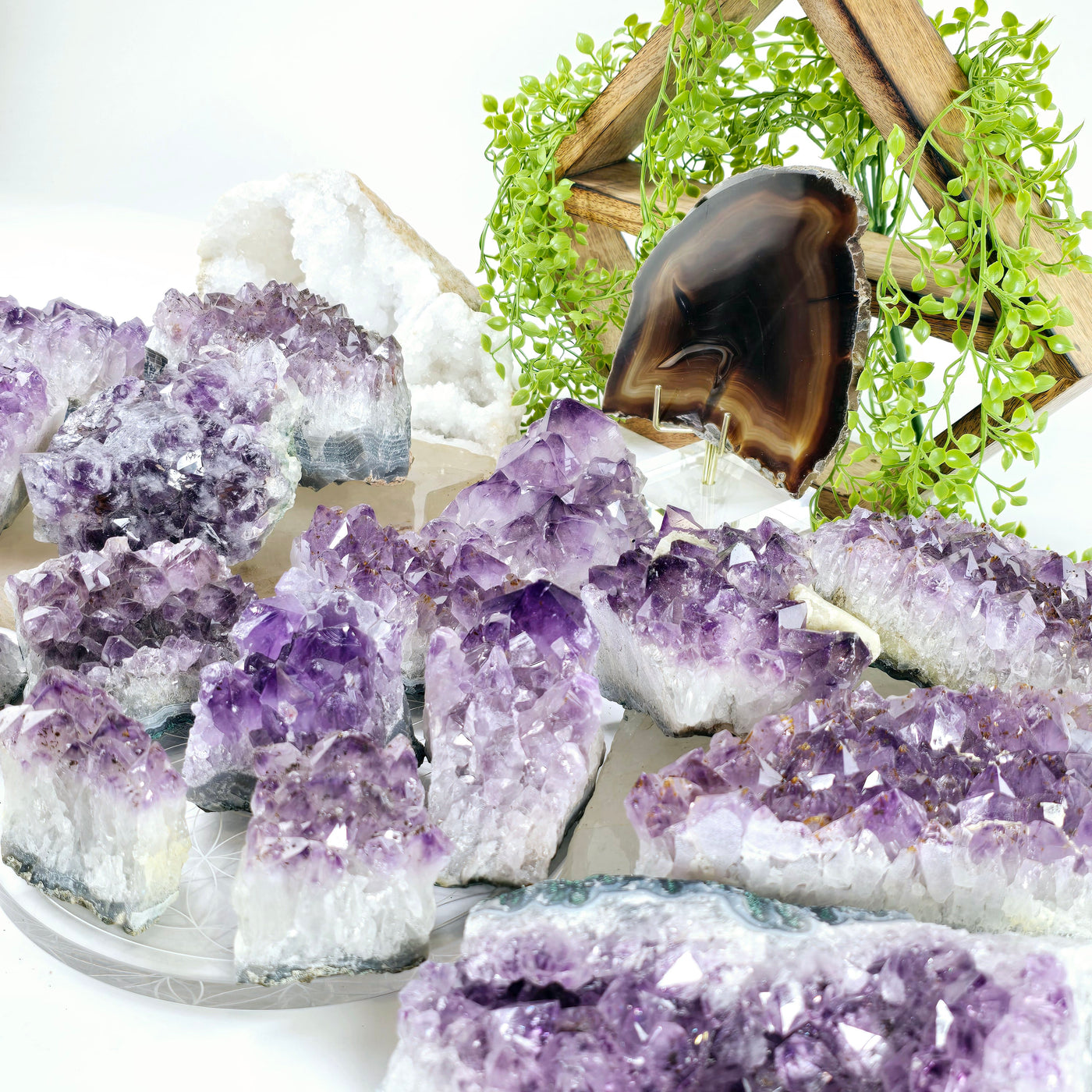 Amethyst - Rough Natural Crystal Cluster - You Choose all variants on stone and acrylic platters with props and plants in the background