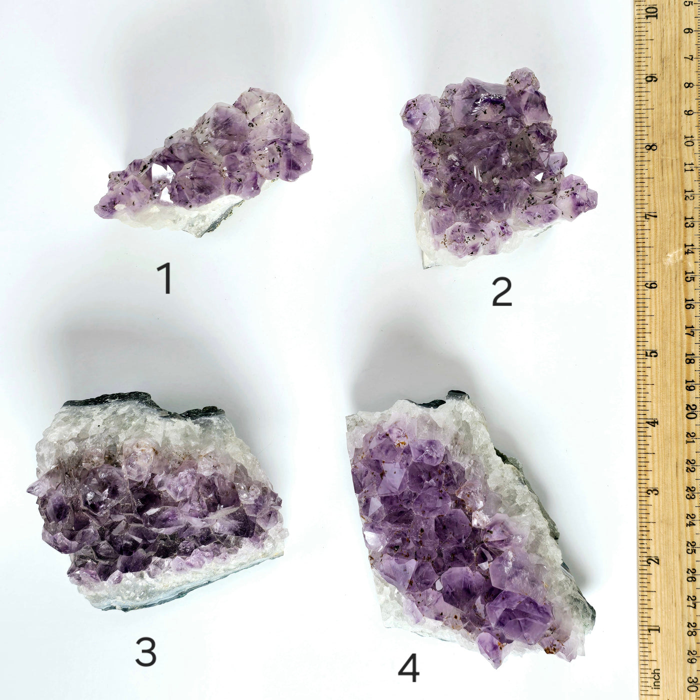 Amethyst - Rough Natural Crystal Cluster - You Choose variants 1, 2, 3, and 4 labeled with ruler for size reference top view