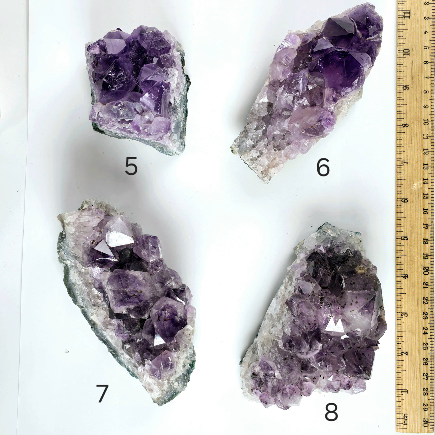 Amethyst - Rough Natural Crystal Cluster - You Choose variants 5, 6,7, and 8 labeled with ruler for size reference top view