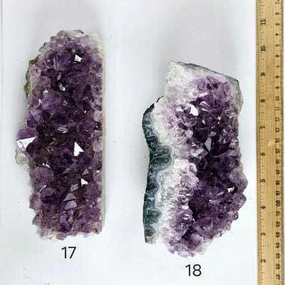 Amethyst - Rough Natural Crystal Cluster - You Choose variants 17 and 18 labeled with ruler for size reference top view