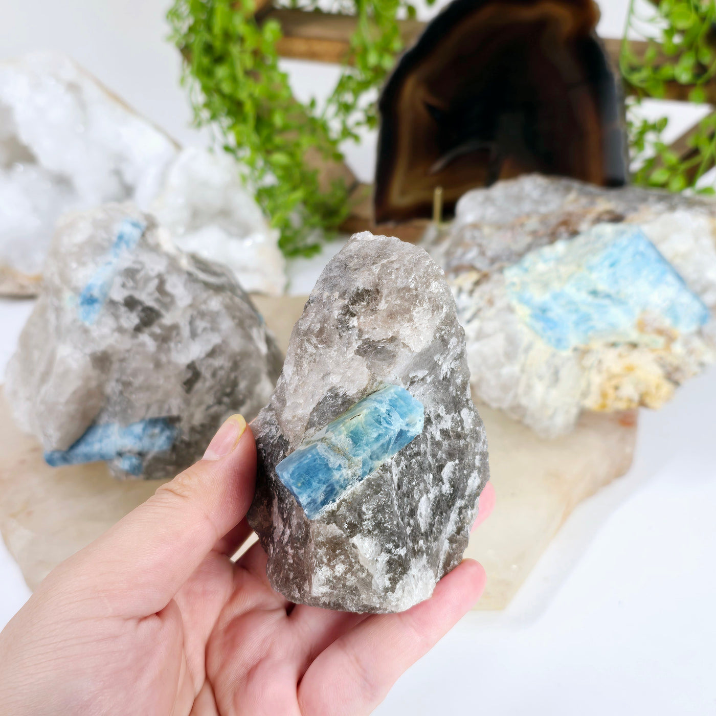 Aquamarine - High Quality Beryl Crystal in Rough Smokey Quartz Matrix - You Choose - variant A in hand for size reference with other variants in background with props and plants