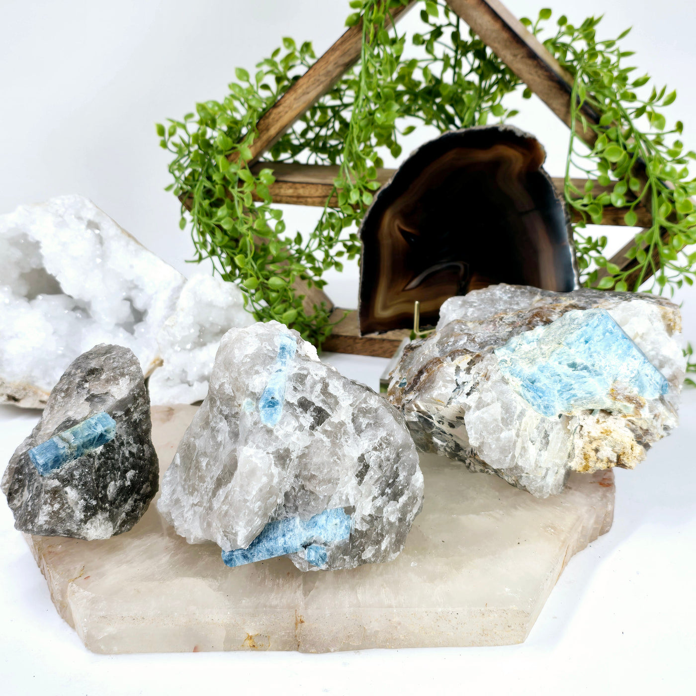 Aquamarine - High Quality Beryl Crystal in Rough Smokey Quartz Matrix - You Choose all variants on stone platter with props and plants in the background