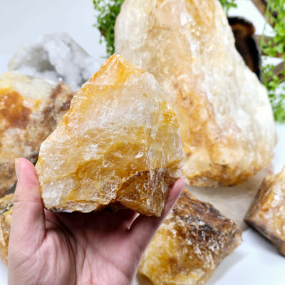 Golden Healer Raw Natural Crystal - You Choose - variant A in hand with other variants in the background with props and plants