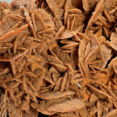 Desert Rose - Sand Rose Crystal Cluster from Morocco #1 closeup for detail of rosette crystal formations