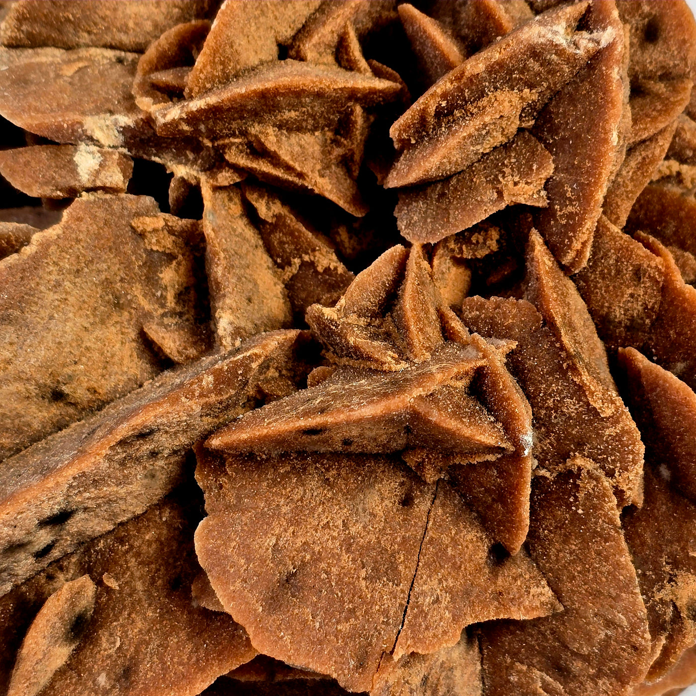 Desert Rose - Sand Rose Crystal Cluster from Morocco #1 closeup for detail of rosette crystal formations