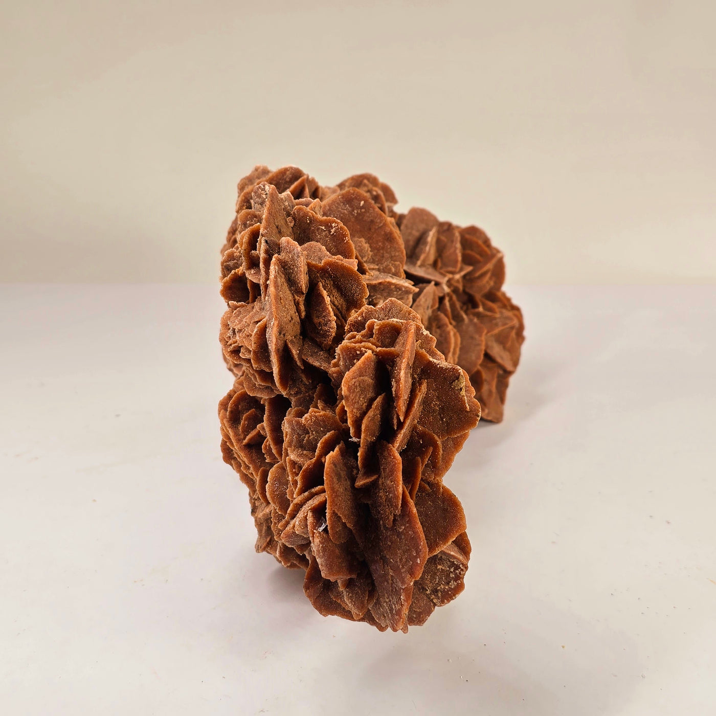 Desert Rose - Sand Rose Crystal Cluster from Morocco #1 side view on white background