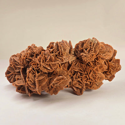 Desert Rose - Sand Rose Crystal Cluster from Morocco #1 back view on white background