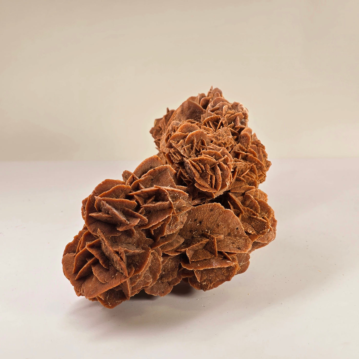 Desert Rose - Sand Rose Crystal Cluster from Morocco #1 side view on white background