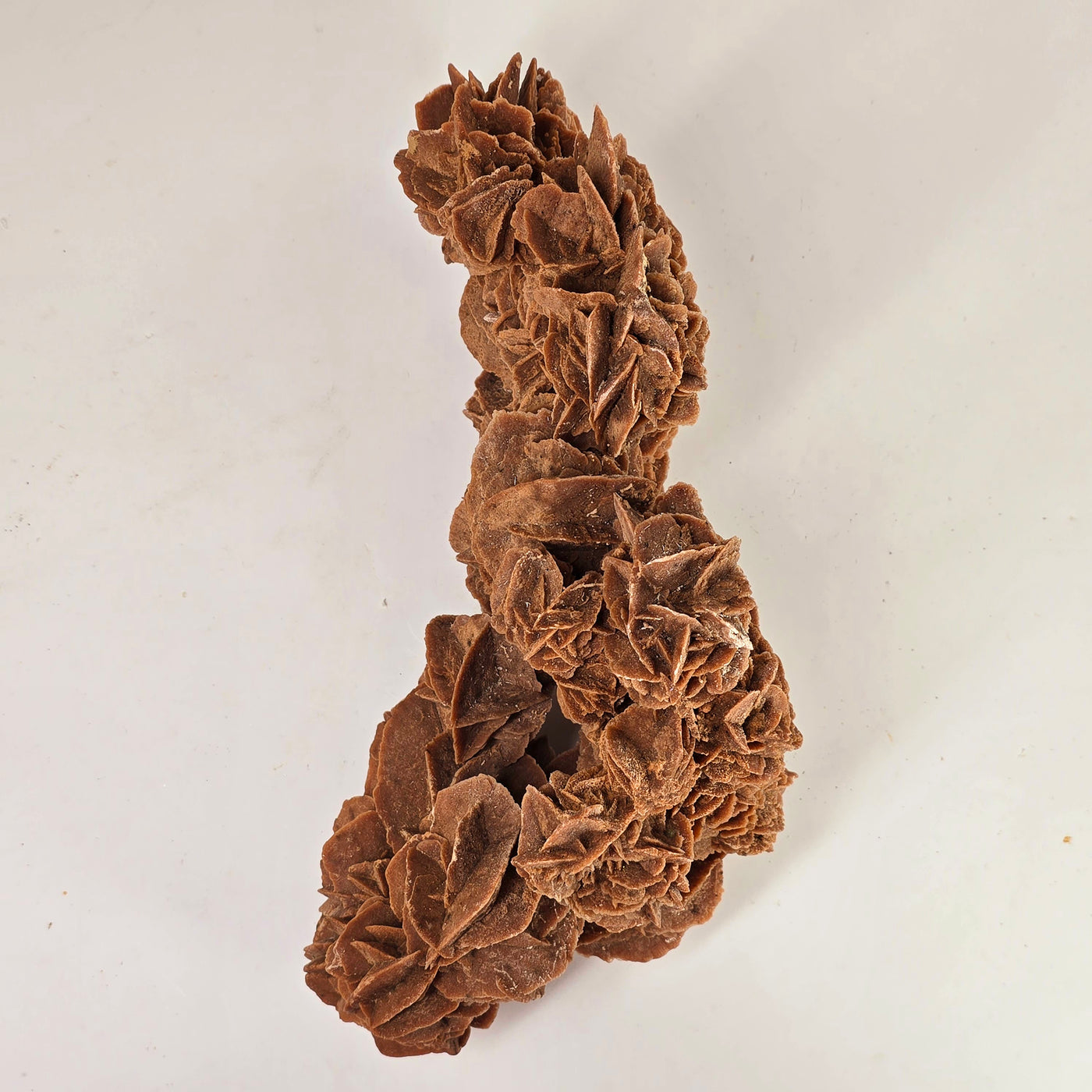 Desert Rose - Sand Rose Crystal Cluster from Morocco #1 top view on white background