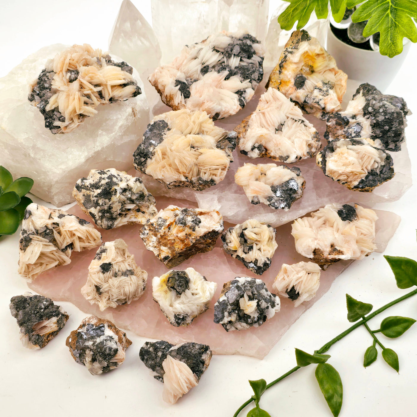 Pink Barite with Galena and Cerussite Crystal Specimen from Morocco - You Choose - all variants on stone platters and white table with props and plants in the background