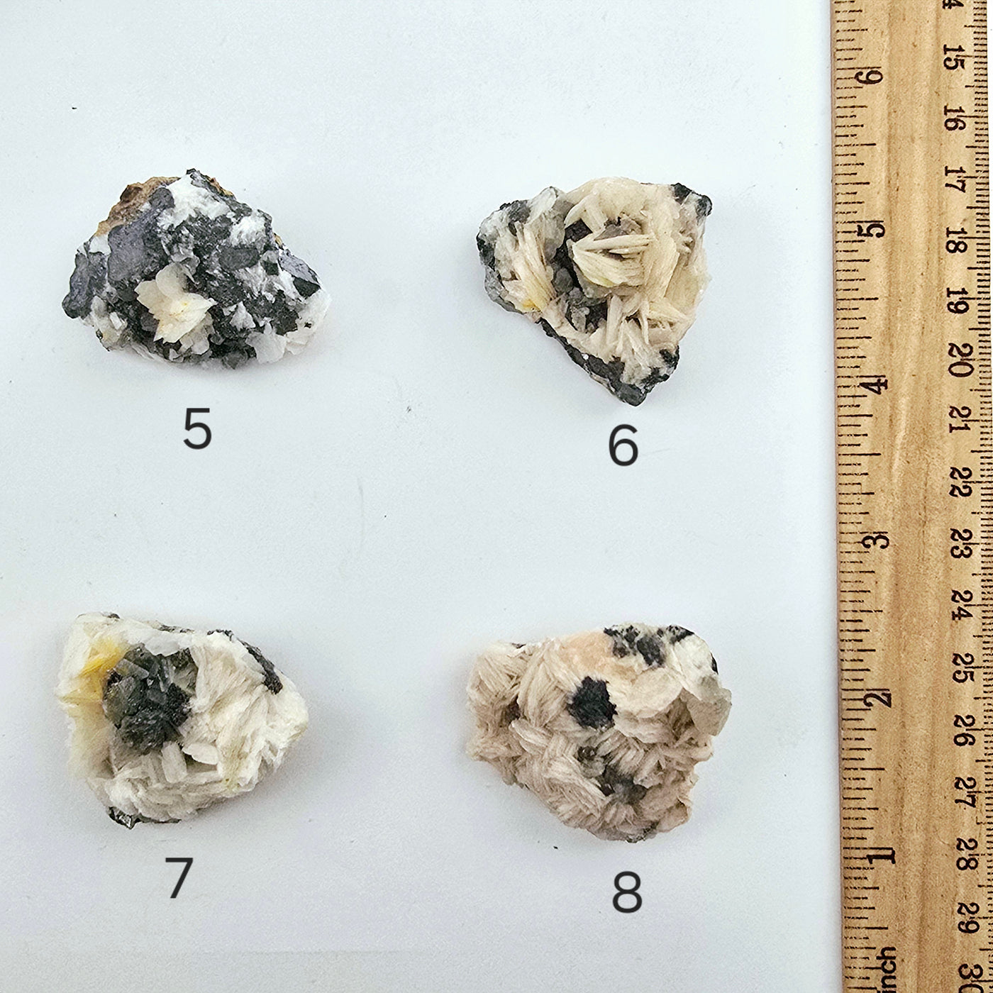 Pink Barite with Galena and Cerussite Crystal Specimen from Morocco - You Choose variants 5, 6, 7, and 8 labeled with ruler for size reference on white background