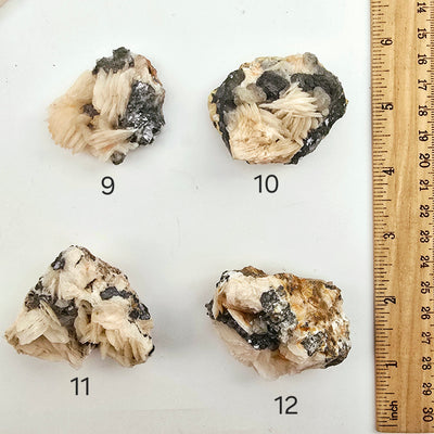 Pink Barite with Galena and Cerussite Crystal Specimen from Morocco - You Choose variants 9, 10, 11, and 12 labeled with ruler for size reference on white background