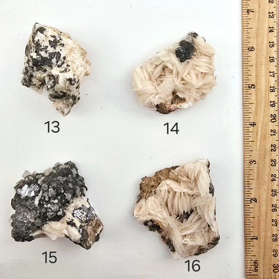 Pink Barite with Galena and Cerussite Crystal Specimen from Morocco - You Choose variants 13, 14, 15, and 16 labeled with ruler for size reference on white background