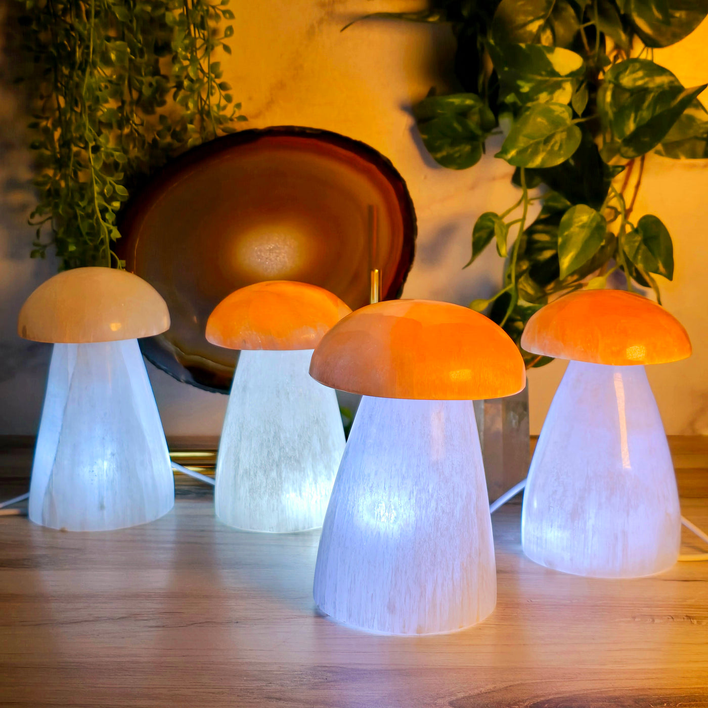 Selenite Mushroom Lamp - four selenite mushroom lamps glowing from within with LED light in a warm glowing cozy interior space with wooden surface with an agate slice on stand and plants in the background