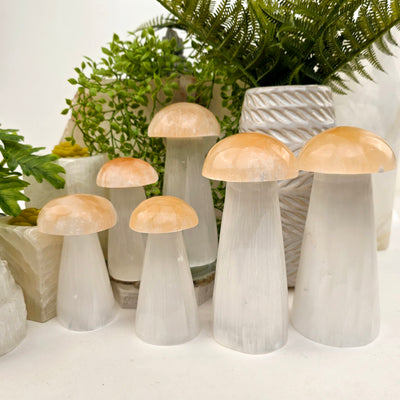 Selenite Crystal Mushroom - Orange and White Selenite - By Size - both small and large selenite mushroom sculptures arranged together on stone platter and white table with props and plants in the background