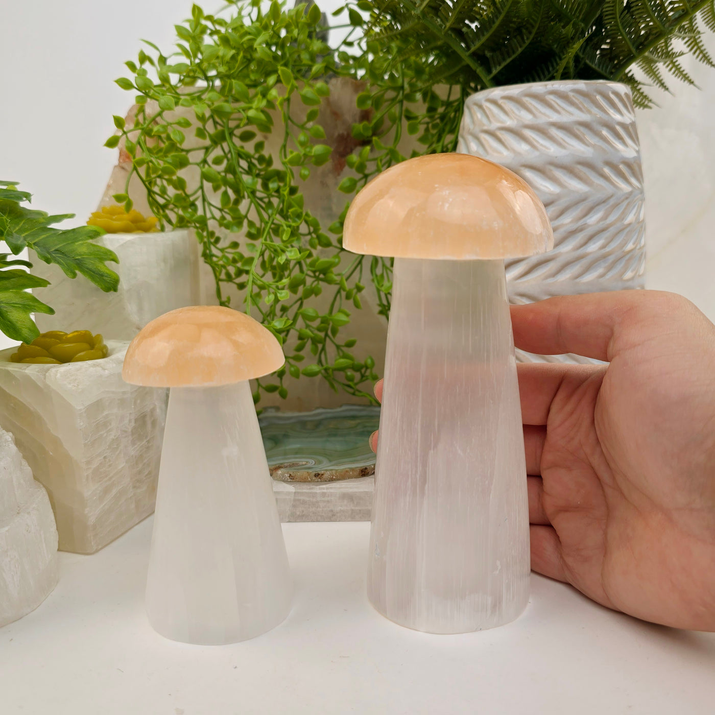 Selenite Crystal Mushroom - Orange and White Selenite - By Size - both small and large mushrooms, one each, with hand for size reference in front of a bright white background with props and plants