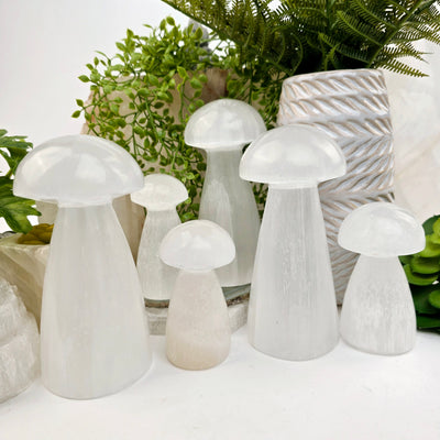 Selenite Crystal Mushroom - By Size - both sizes arranged on white table and stone platters with props and plants in the background