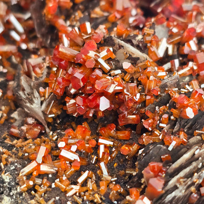 Vanadinite - Large Vanadinite Crystal Cluster on Matrix - High Grade closeup for detail