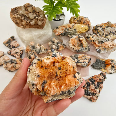 Pink Barite with Galena and Cerussite Crystal Specimen from Morocco - You Choose #2 - variant 15 in hand for size reference with other variants in the background on stone platters with props and plants