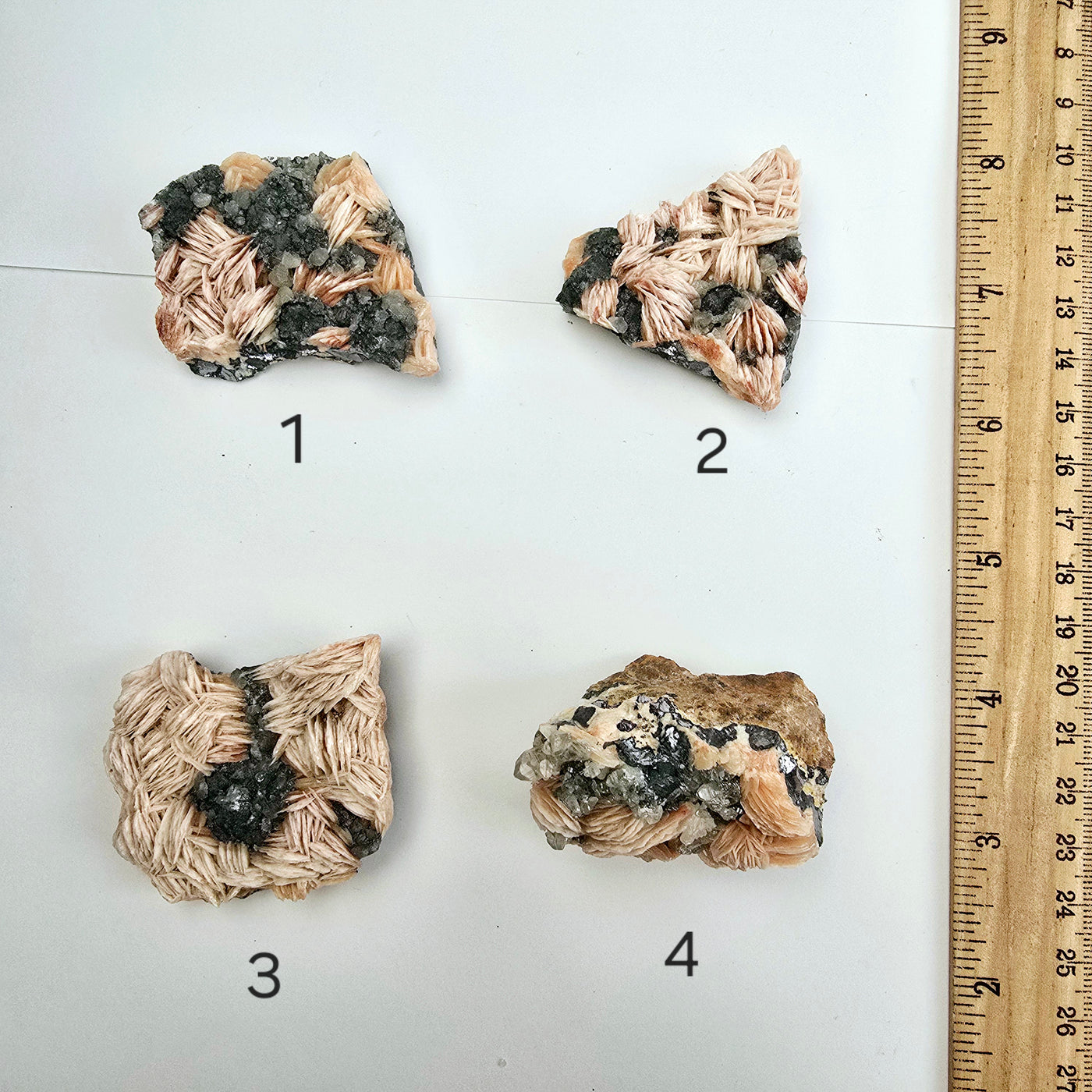 Pink Barite with Galena and Cerussite Crystal Specimen from Morocco - You Choose #2 variants 1, 2, 3, and 4 labeled with ruler for size reference