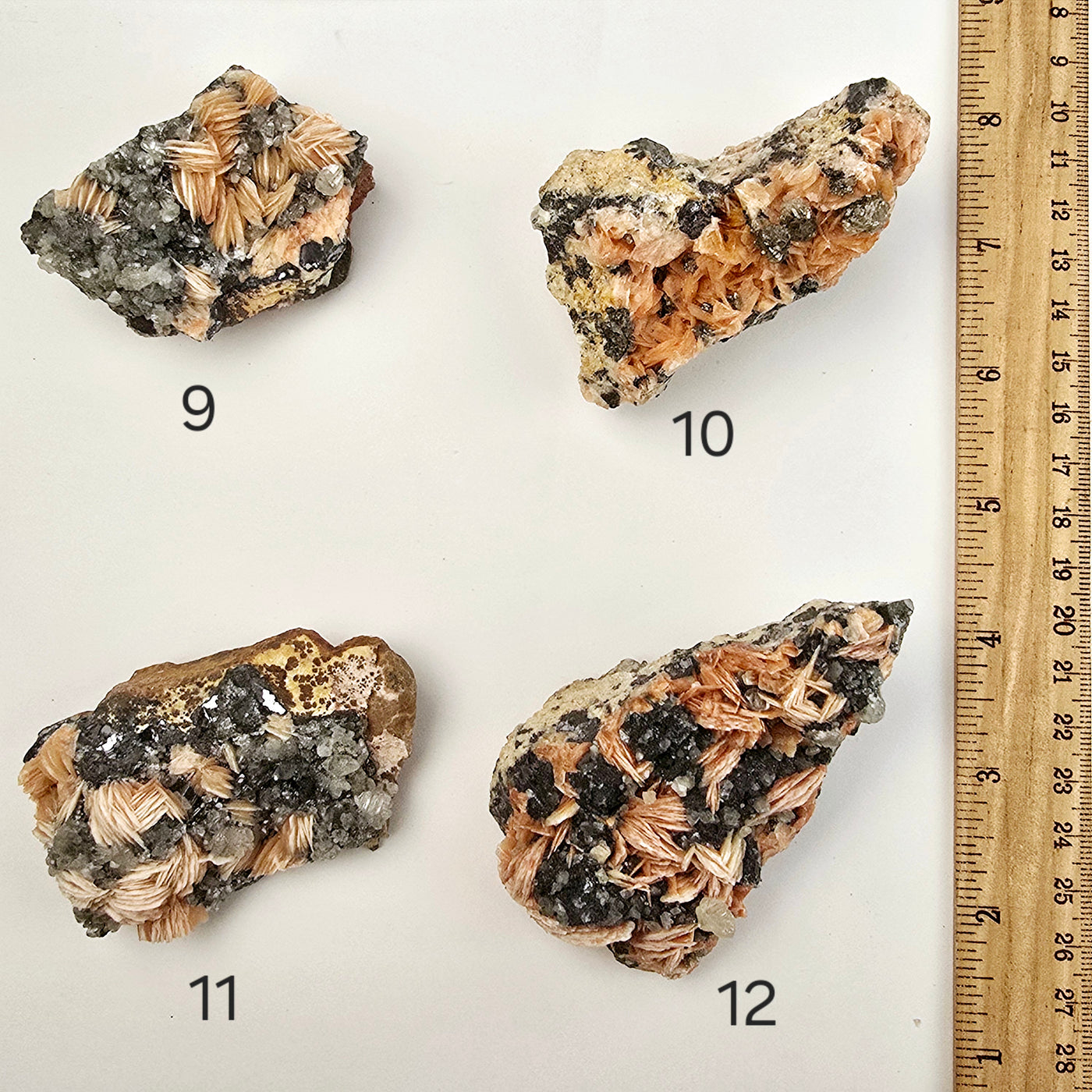 Pink Barite with Galena and Cerussite Crystal Specimen from Morocco - You Choose #2 variants 9, 10, 11, and 12 labeled with ruler for size reference