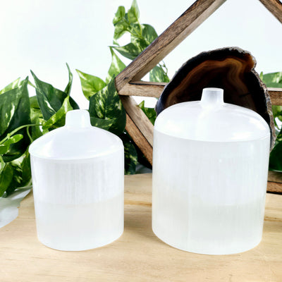 Selenite Crystal Jar with Lid - By Size small jar and large jar next to each other with lid shut with props and plants in the background