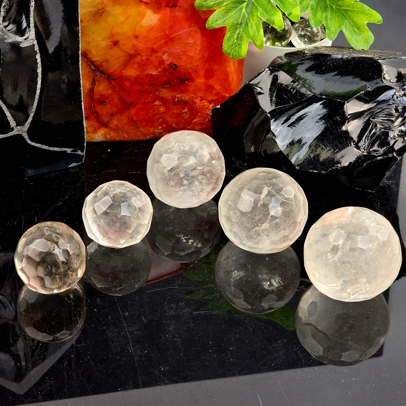 Crystal Quartz Round Faceted Sphere - You Choose all variants on black acrylic with props and plants in the background