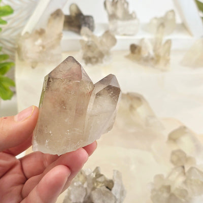 Smokey Citrine Small Natural Crystal Cluster - You Choose variant 13 in hand for size reference with other variants in the background