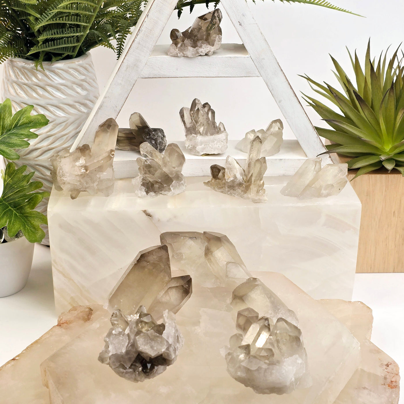 Smokey Citrine Small Natural Crystal Cluster - You Choose all variants on stone platters and white wooden triangle shelf with plants in the background