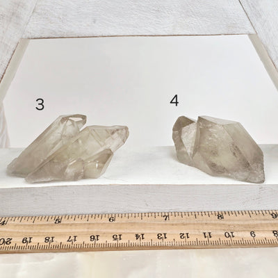 Smokey Citrine Small Natural Crystal Cluster - You Choose variants 3 and 4 labeled with ruler for size reference