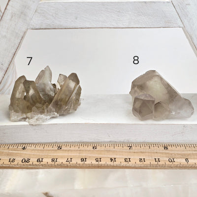 Smokey Citrine Small Natural Crystal Cluster - You Choose variants 7 and 8 labeled with ruler for size reference