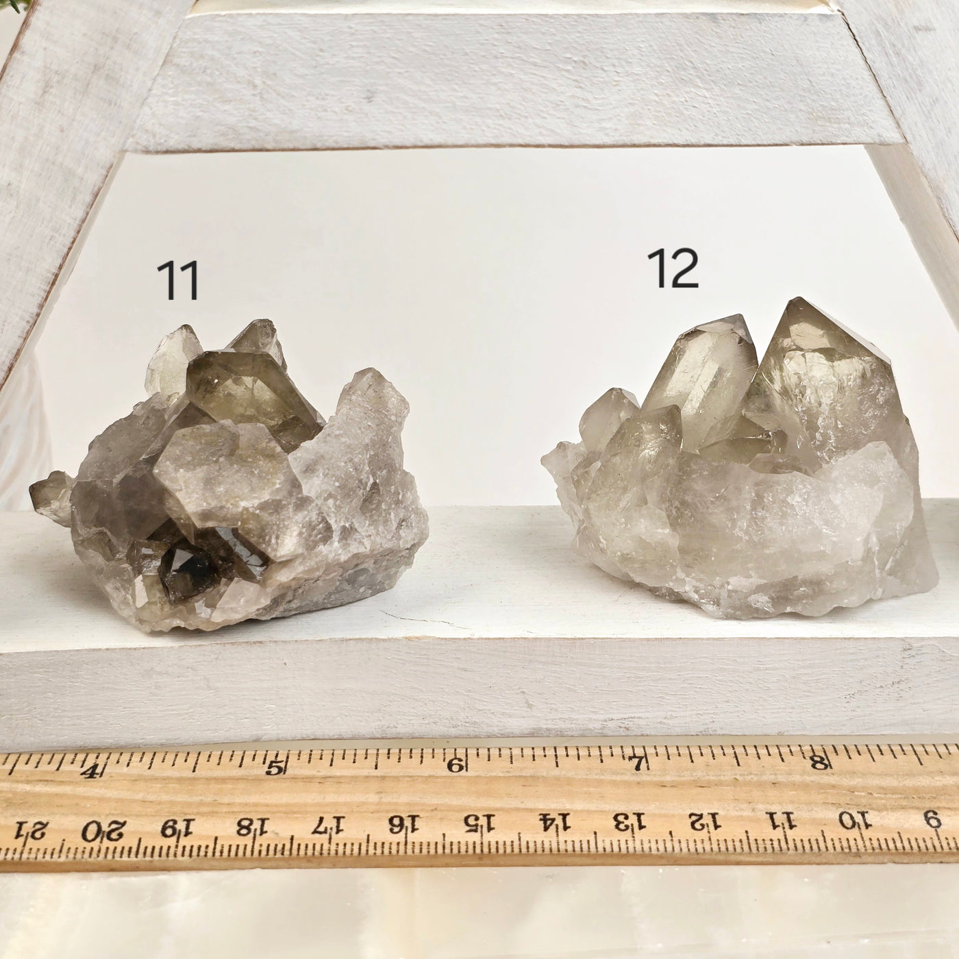 Smokey Citrine Small Natural Crystal Cluster - You Choose variants 11 and 12 labeled with ruler for size reference